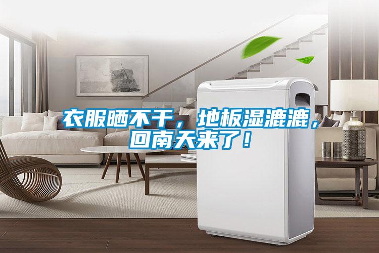 衣服曬不干，地板濕漉漉，回南天來了！