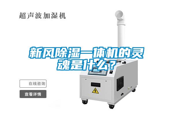 新風(fēng)除濕一體機(jī)的靈魂是什么？