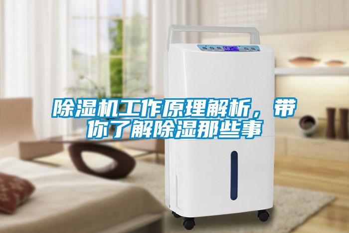 除濕機(jī)工作原理解析，帶你了解除濕那些事