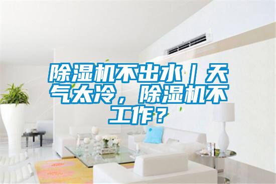 除濕機(jī)不出水｜天氣太冷，除濕機(jī)不工作？