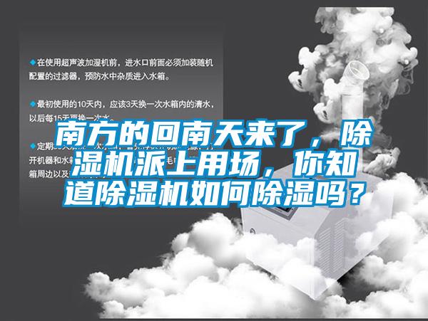 南方的回南天來(lái)了，除濕機(jī)派上用場(chǎng)，你知道除濕機(jī)如何除濕嗎？