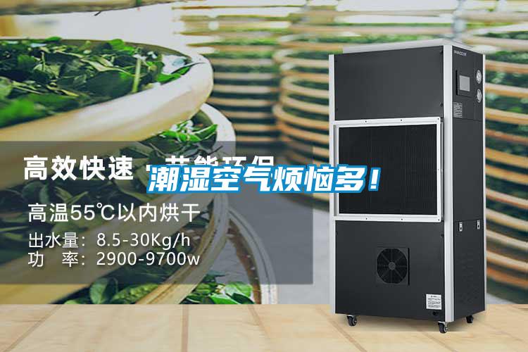 潮濕空氣煩惱多！
