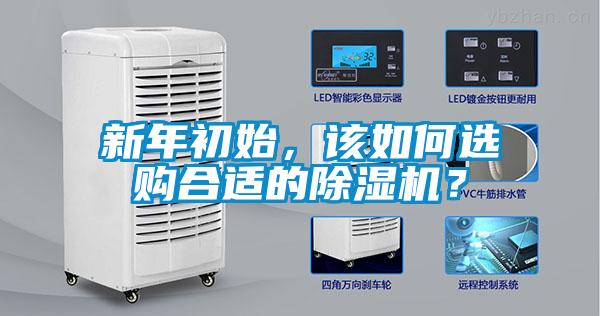 新年初始，該如何選購合適的除濕機(jī)？