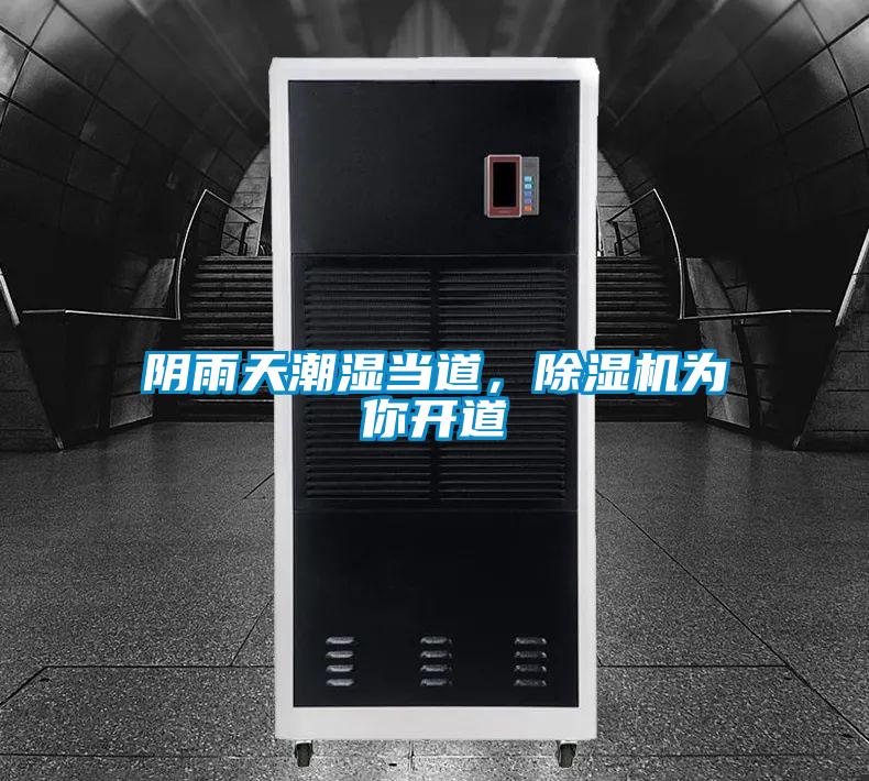 陰雨天潮濕當?shù)?，除濕機為你開道