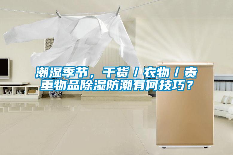 潮濕季節(jié)，干貨／衣物／貴重物品除濕防潮有何技巧？