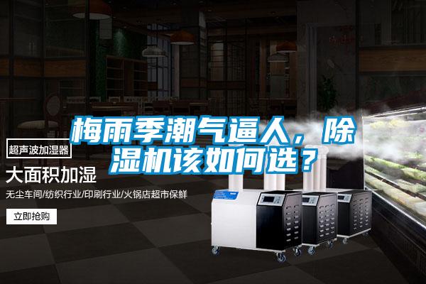 梅雨季潮氣逼人，除濕機(jī)該如何選？