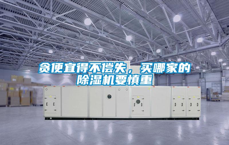 貪便宜得不償失，買哪家的除濕機(jī)要慎重