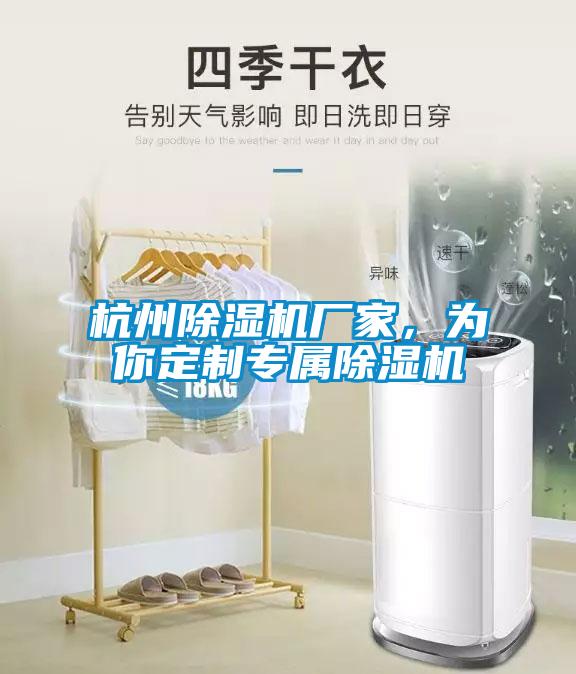 杭州除濕機(jī)廠(chǎng)家，為你定制專(zhuān)屬除濕機(jī)