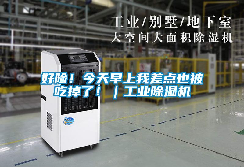 好險(xiǎn)！今天早上我差點(diǎn)也被吃掉了?。I(yè)除濕機(jī)