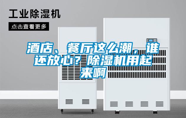 酒店、餐廳這么潮，誰還放心？除濕機(jī)用起來啊