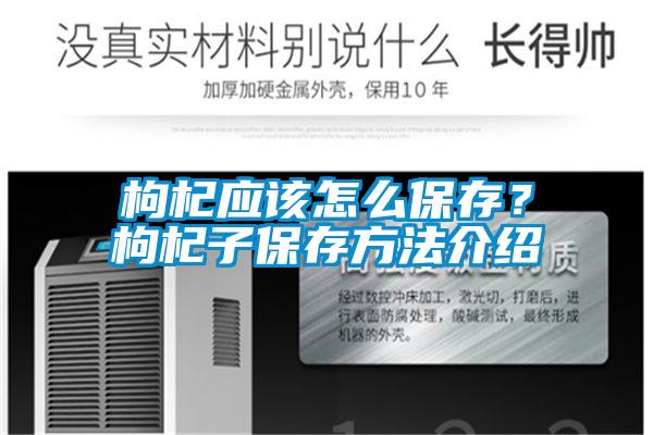 枸杞應(yīng)該怎么保存？枸杞子保存方法介紹