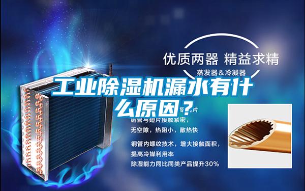 工業(yè)除濕機(jī)漏水有什么原因？