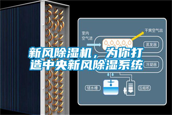新風(fēng)除濕機(jī)，為你打造中央新風(fēng)除濕系統(tǒng)