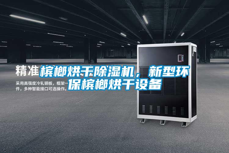 檳榔烘干除濕機(jī)，新型環(huán)保檳榔烘干設(shè)備
