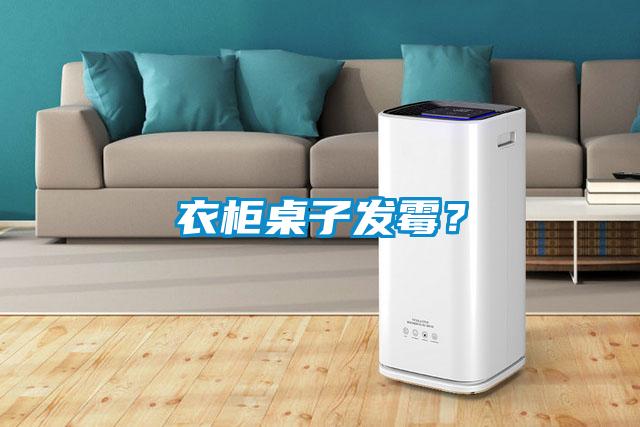 衣柜桌子發(fā)霉？