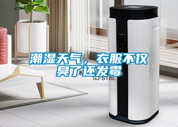 潮濕天氣，衣服不僅臭了還發(fā)霉