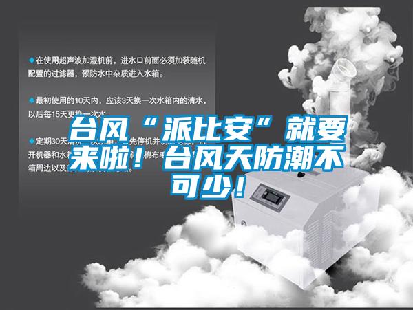 臺風“派比安”就要來啦！臺風天防潮不可少！