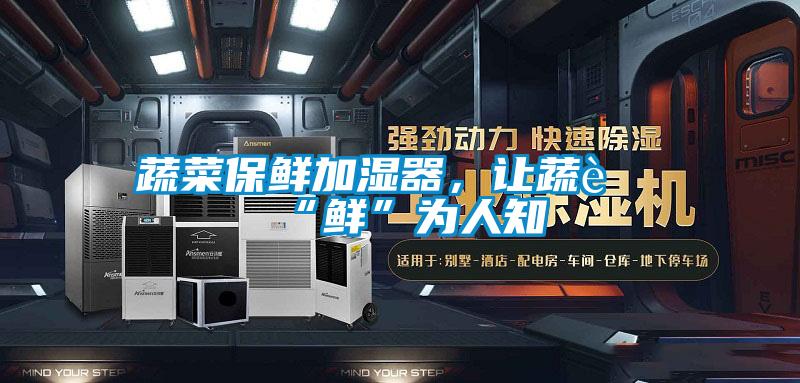 蔬菜保鮮加濕器，讓蔬菜“鮮”為人知