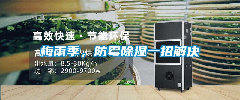 梅雨季，防霉除濕一招解決