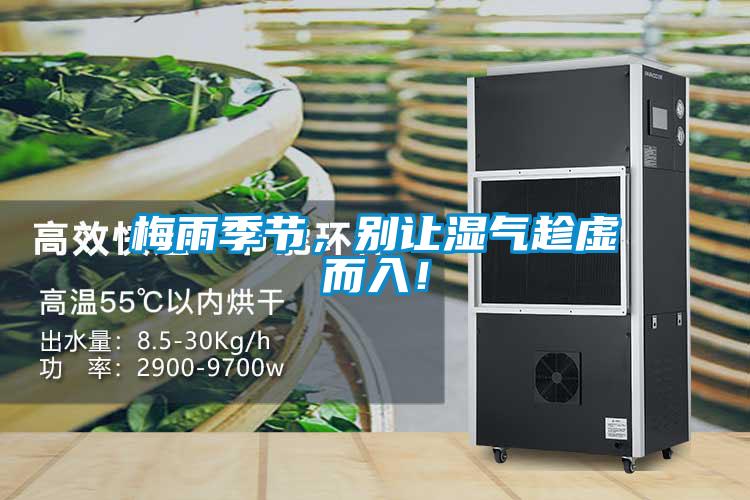 梅雨季節(jié)，別讓濕氣趁虛而入！