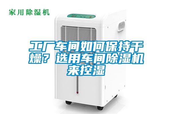 工廠車間如何保持干燥？選用車間除濕機(jī)來控濕