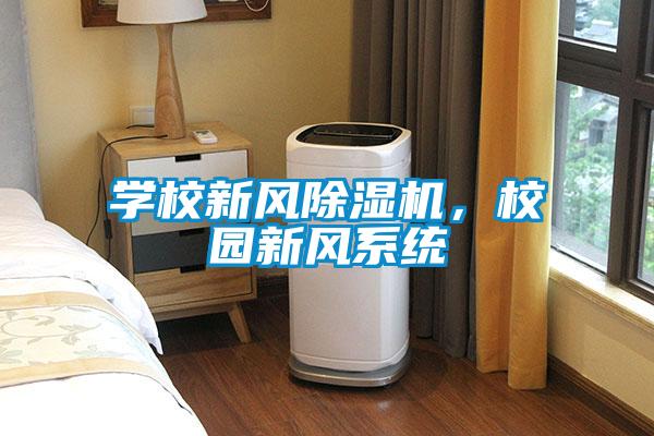 學(xué)校新風(fēng)除濕機(jī)，校園新風(fēng)系統(tǒng)
