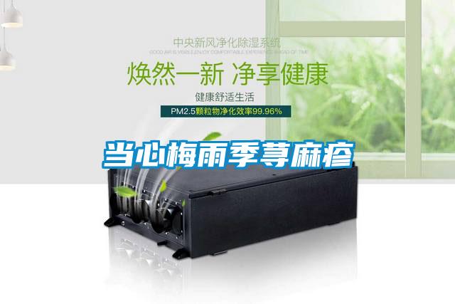 當(dāng)心梅雨季蕁麻疹