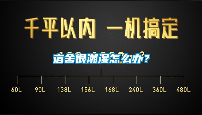 宿舍很潮濕怎么辦？