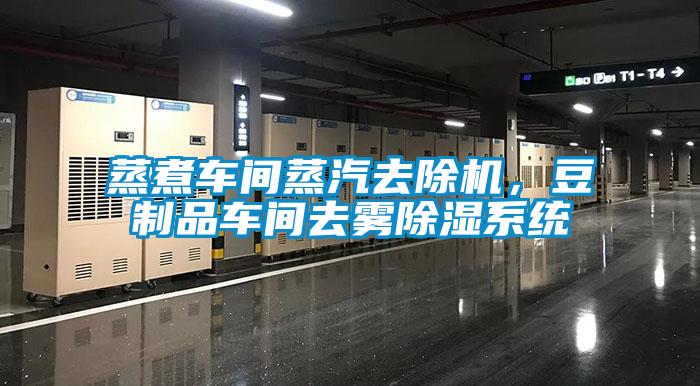 蒸煮車間蒸汽去除機(jī)，豆制品車間去霧除濕系統(tǒng)
