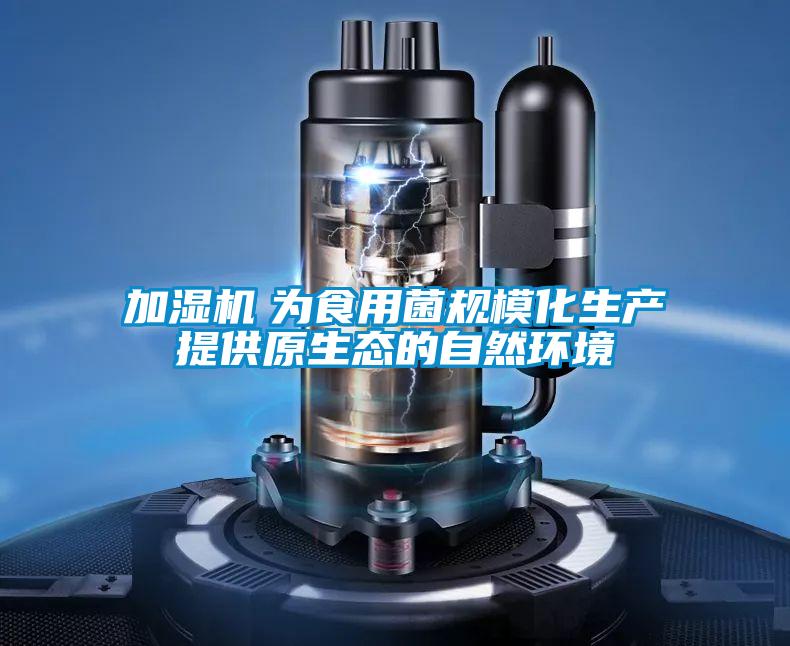 加濕機　為食用菌規(guī)?；a(chǎn)提供原生態(tài)的自然環(huán)境