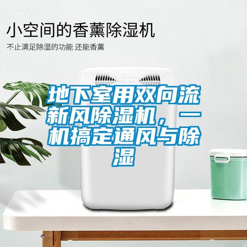地下室用雙向流新風(fēng)除濕機(jī)，一機(jī)搞定通風(fēng)與除濕