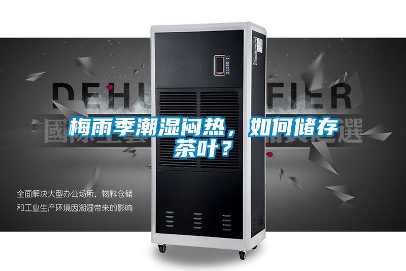 梅雨季潮濕悶熱，如何儲存茶葉？
