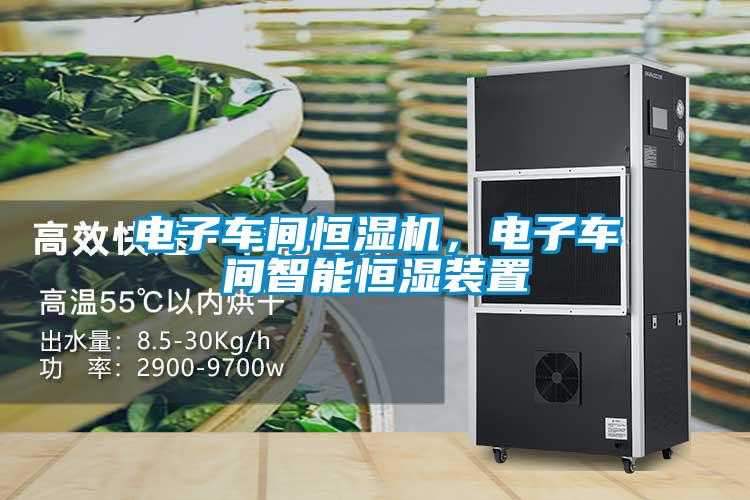 電子車間恒濕機，電子車間智能恒濕裝置
