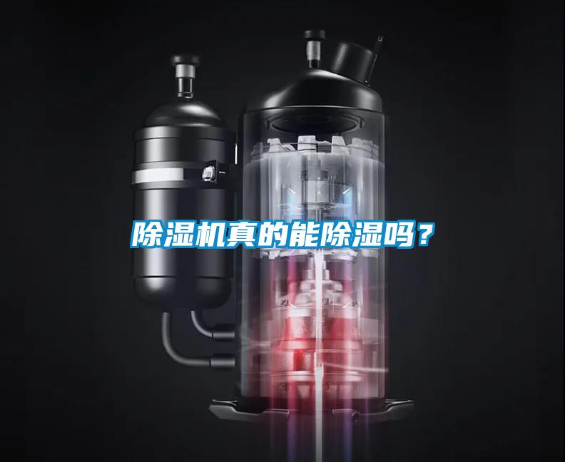 除濕機(jī)真的能除濕嗎？