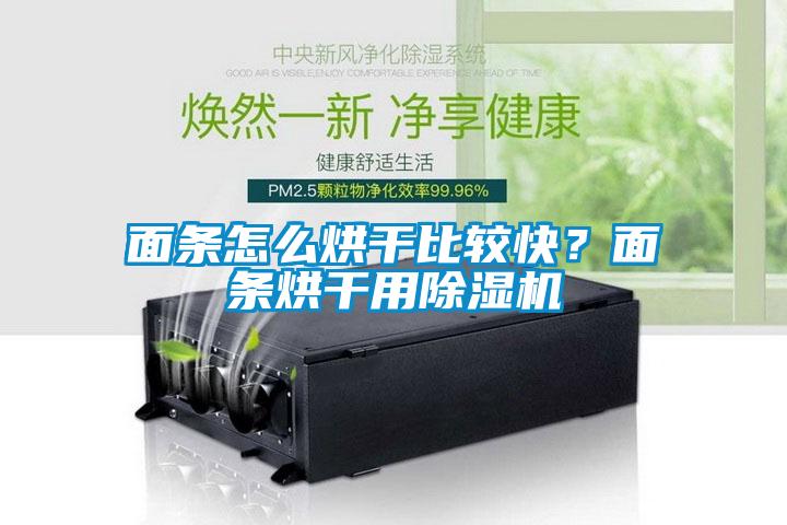 面條怎么烘干比較快？面條烘干用除濕機(jī)