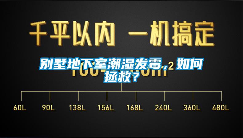 別墅地下室潮濕發(fā)霉，如何拯救？