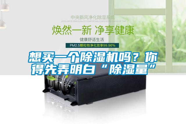 想買一個(gè)除濕機(jī)嗎？你得先弄明白“除濕量”
