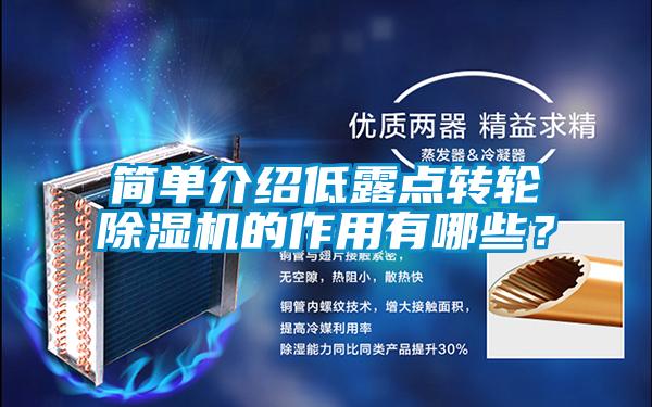 簡(jiǎn)單介紹低露點(diǎn)轉(zhuǎn)輪除濕機(jī)的作用有哪些？