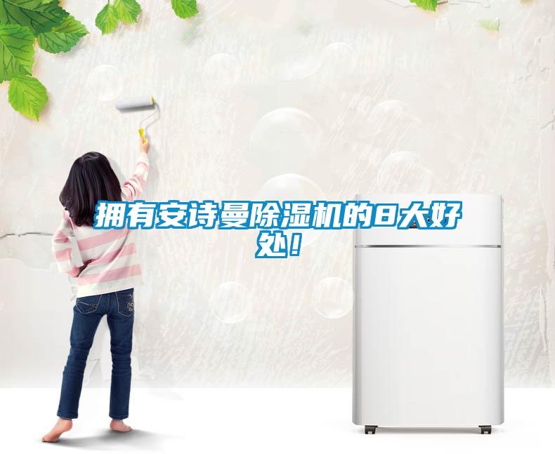 擁有安詩(shī)曼除濕機(jī)的8大好處！