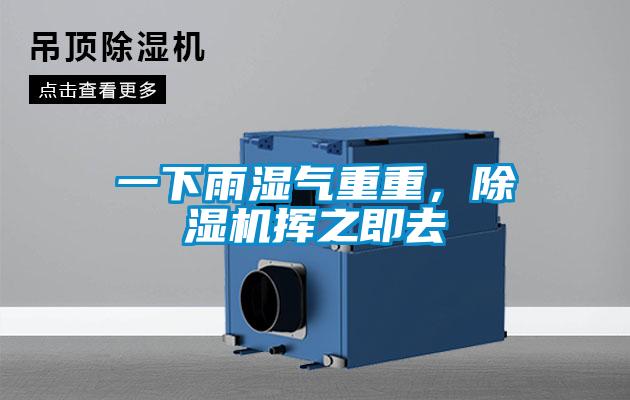 一下雨濕氣重重，除濕機(jī)揮之即去