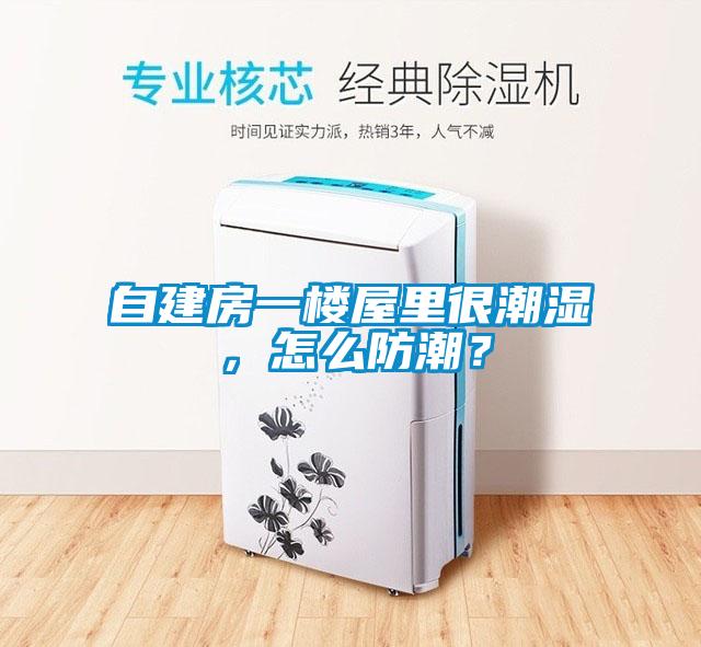 自建房一樓屋里很潮濕，怎么防潮？