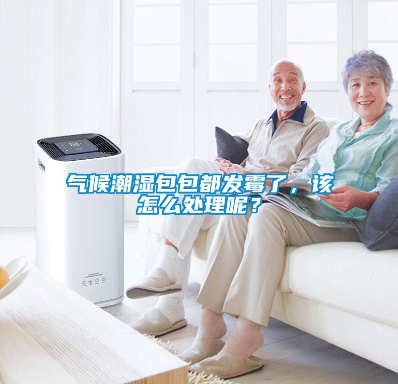 氣候潮濕包包都發(fā)霉了，該怎么處理呢？