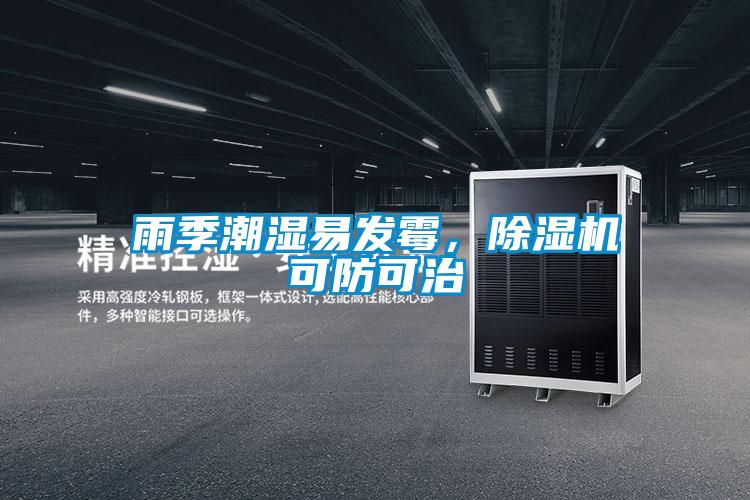 雨季潮濕易發(fā)霉，除濕機(jī)可防可治