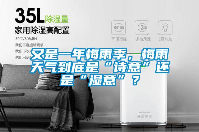 又是一年梅雨季，梅雨天氣到底是“詩意”還是“濕意”？