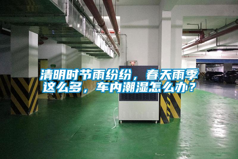 清明時節(jié)雨紛紛，春天雨季這么多，車內(nèi)潮濕怎么辦？