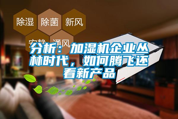 分析：加濕機(jī)企業(yè)叢林時代，如何騰飛還看新產(chǎn)品