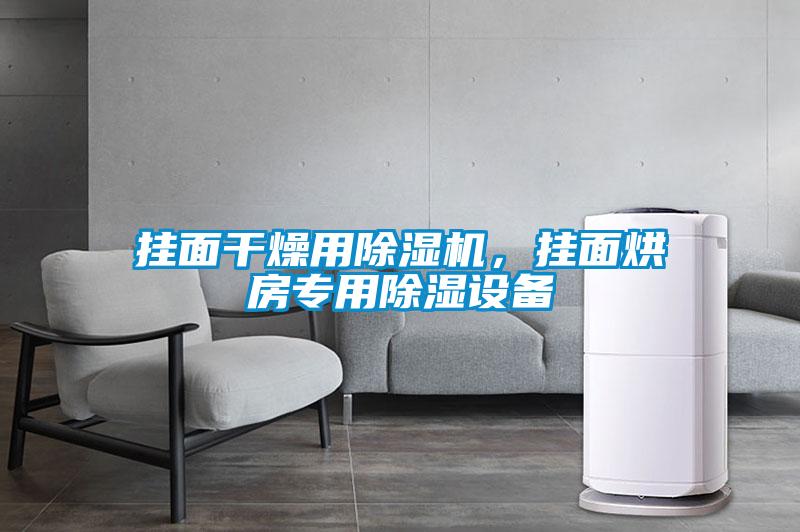 掛面干燥用除濕機(jī)，掛面烘房專用除濕設(shè)備