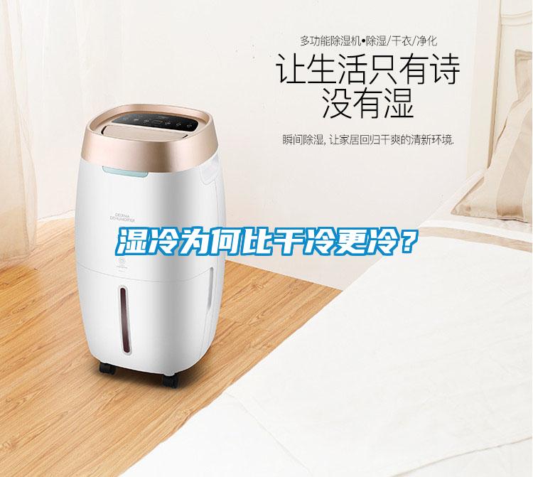 濕冷為何比干冷更冷？