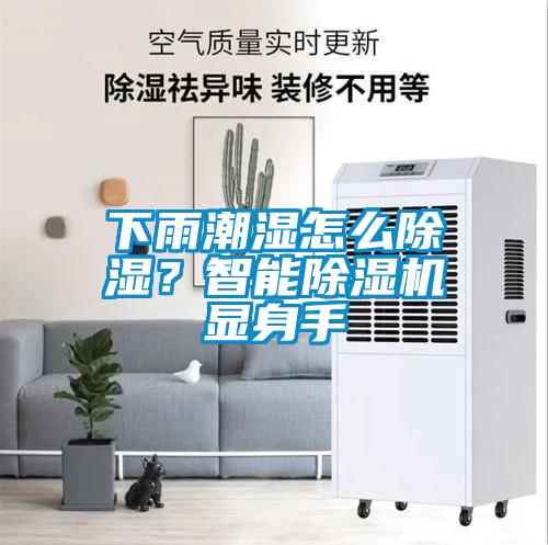 下雨潮濕怎么除濕？智能除濕機顯身手