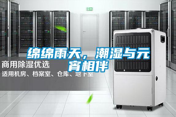 綿綿雨天，潮濕與元宵相伴